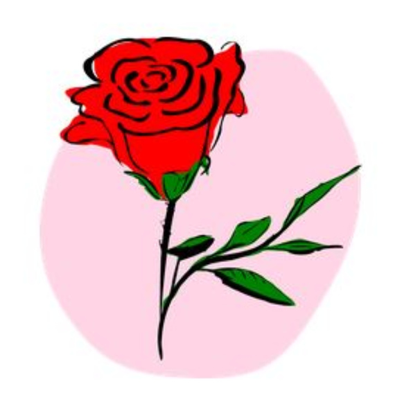 Meet your Posher, Mary Rose - Picture 1 of 1